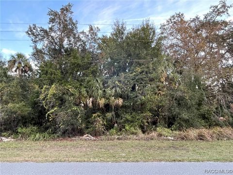 Vacant Land For Sale - 11631 W Timberlane Drive<br/> Homosassa, FL 34448