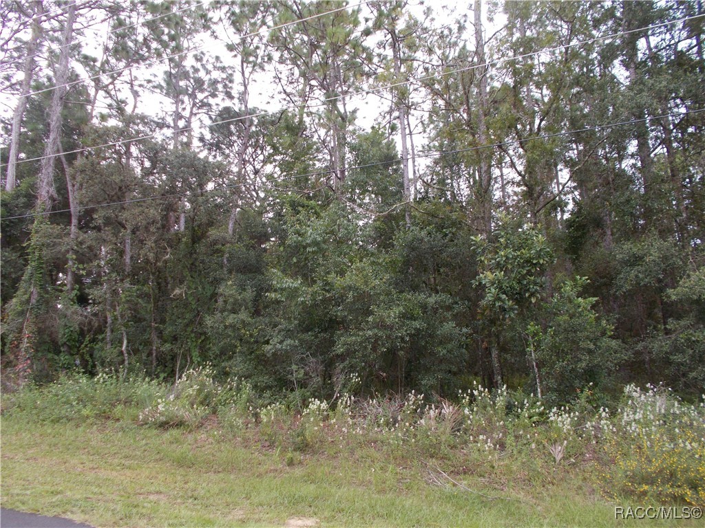 Hernando, Florida 34442, United States, ,Land,Active,206701