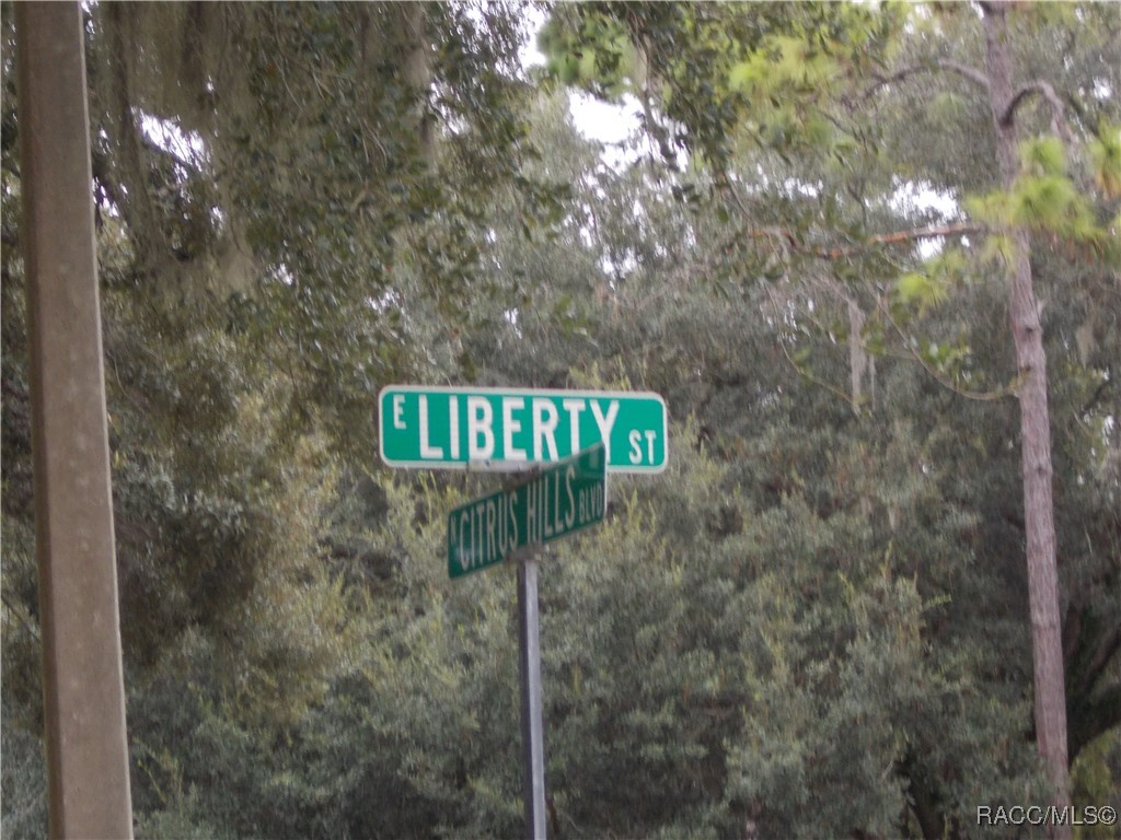 Hernando, Florida 34442, United States, ,Land,Active,206701