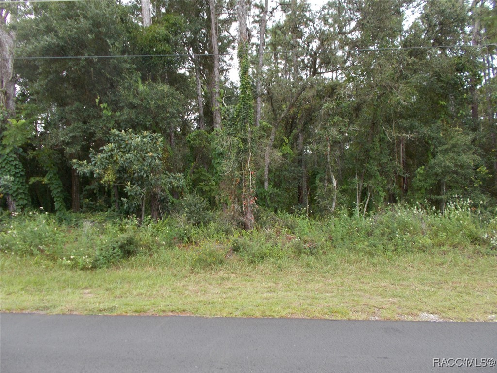 Hernando, Florida 34442, United States, ,Land,Active,206701