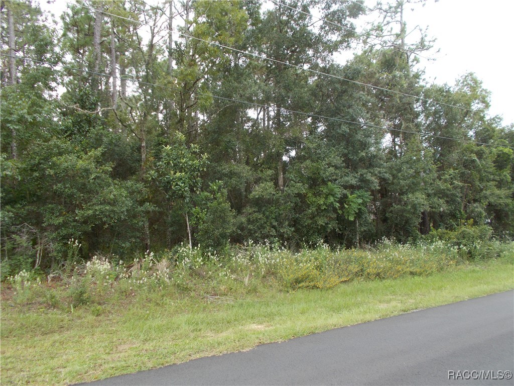 Hernando, Florida 34442, United States, ,Land,Active,206701 Hernando, Florida 34442, United States, ,Land,Active,206701