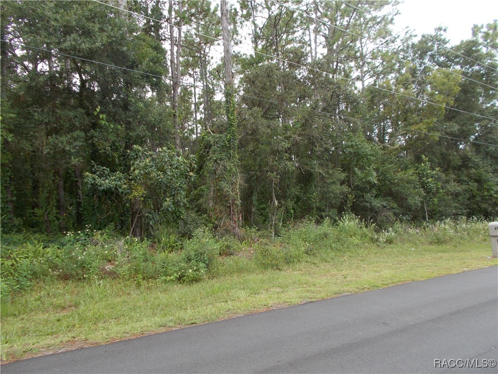 Hernando, Florida 34442, United States, ,Land,Active,206701