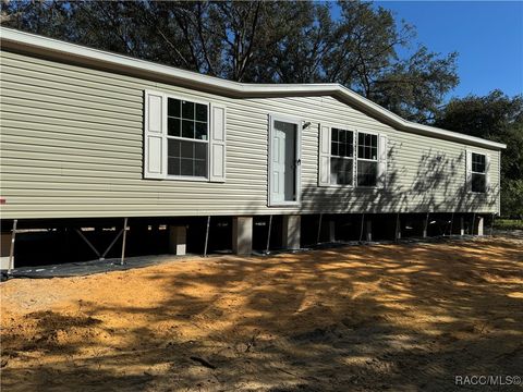 A home in Homosassa