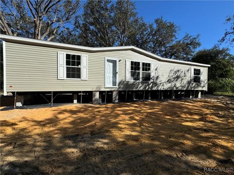 A home in Homosassa