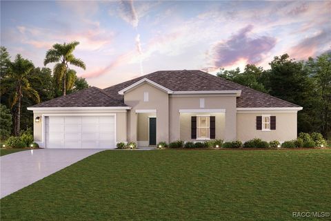 41 Speceberry Circle Homosassa FL 34446