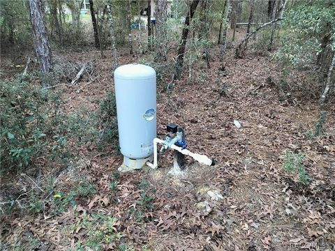 Vacant Land For Sale - 1108 E Van Gogh Court<br/> Hernando, FL 34442