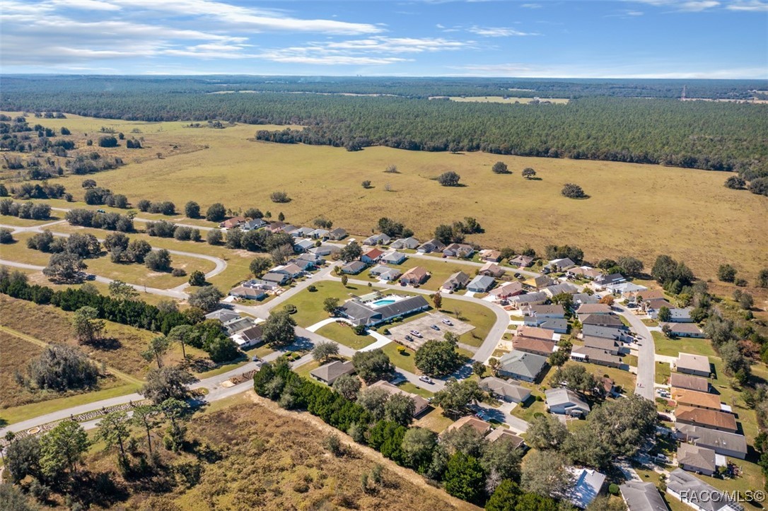 10403 S Drew Bryant Circle, Floral City, Florida image 30