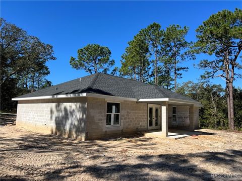 A home in Dunnellon