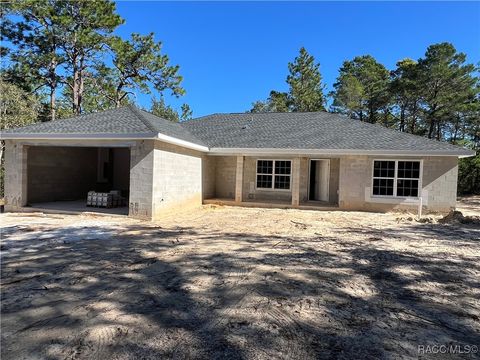 A home in Dunnellon