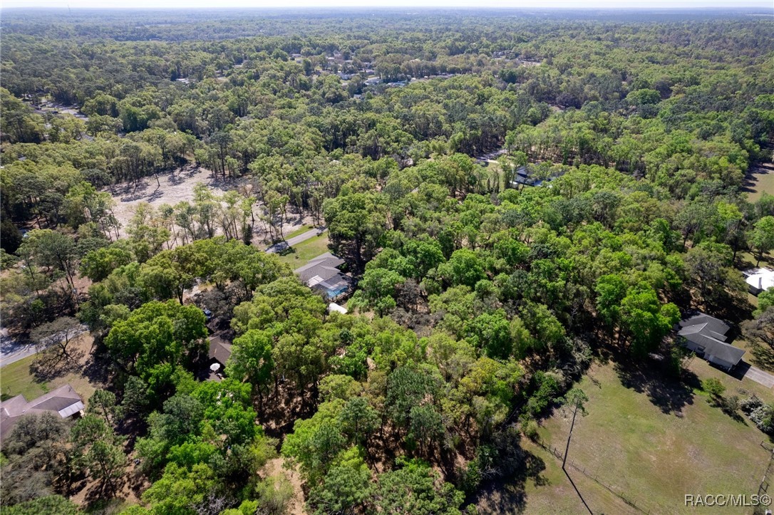 4190 S Tom Avenue, Inverness, Florida image 43