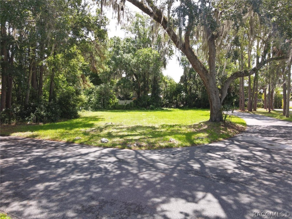 259 NW Bay Path Drive, Crystal River, Florida image 22