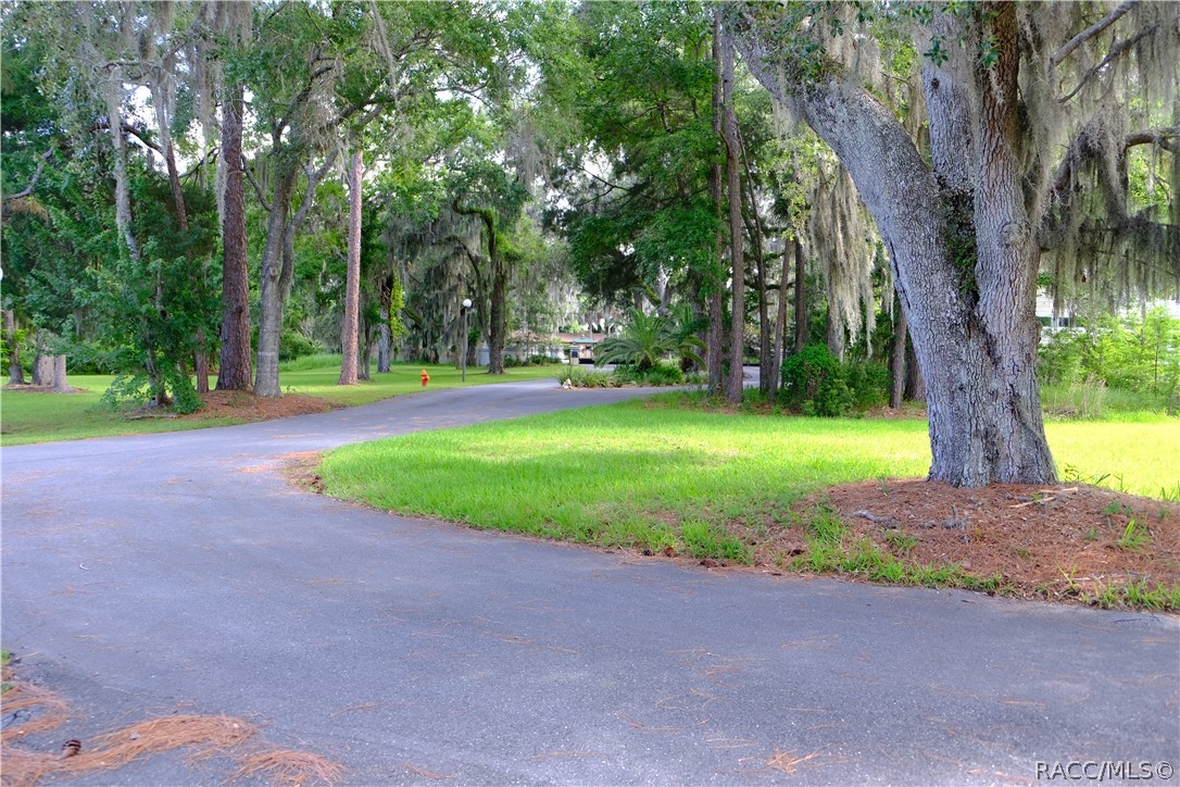 259 NW Bay Path Drive, Crystal River, Florida image 9