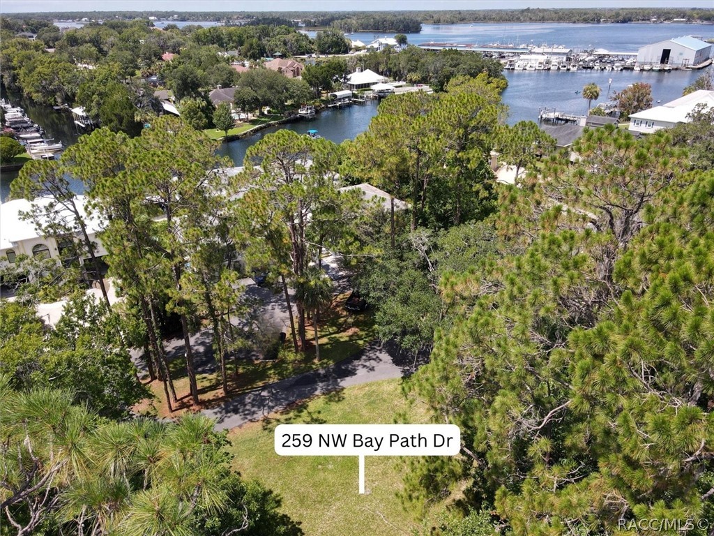 259 NW Bay Path Drive, Crystal River, Florida image 10