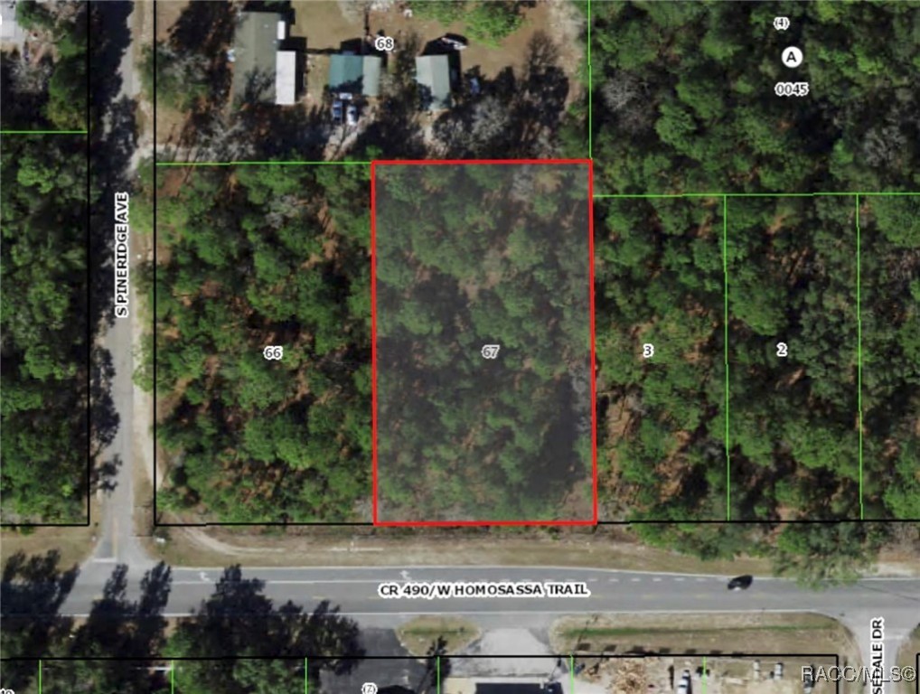 6529 W Homosassa Trail, Homosassa, Florida image 4