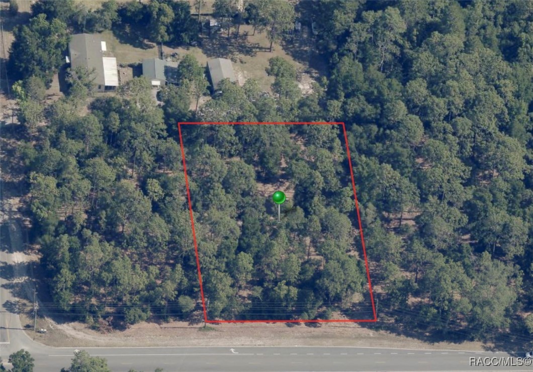 6529 W Homosassa Trail, Homosassa, Florida image 2