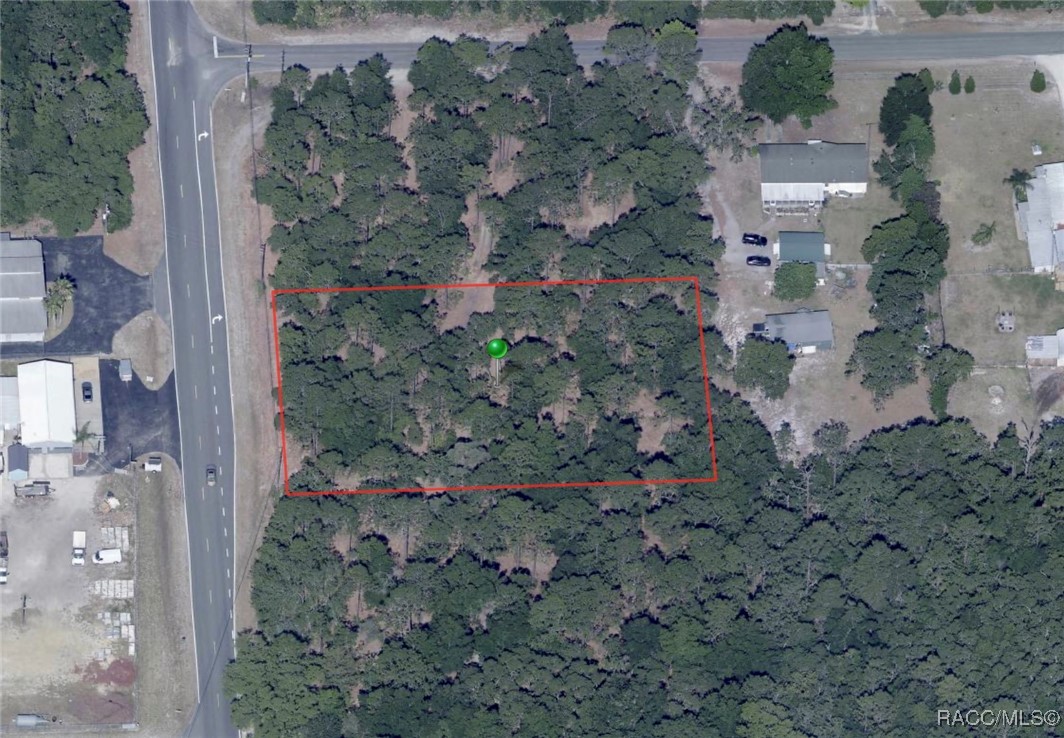 6529 W Homosassa Trail, Homosassa, Florida image 3