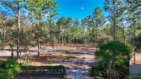 4256 N Amarillo Drive Beverly Hills FL 34465