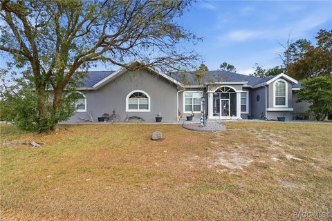 14 Tall Marigolds Court Homosassa FL 34446