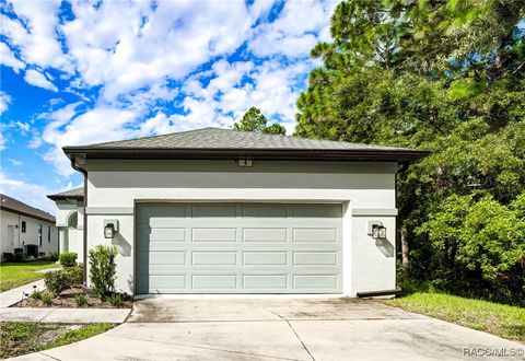 A home in Homosassa