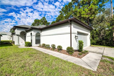 A home in Homosassa