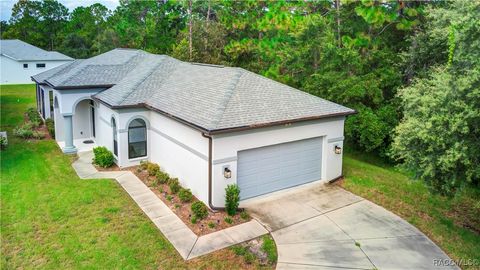 A home in Homosassa