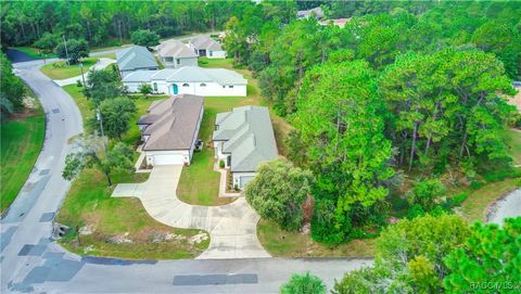 A home in Homosassa