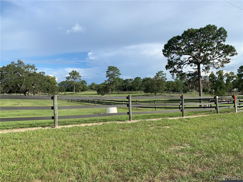 2527 W Begonia Drive, Beverly Hills, Florida image 7