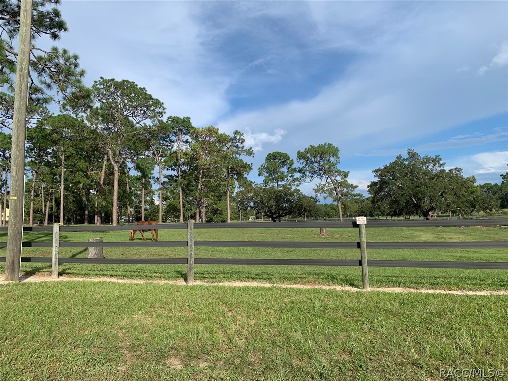 2527 W Begonia Drive, Beverly Hills, Florida image 8