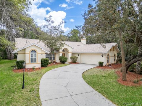Homes For Sale - 39 Pine Drive<br/> Homosassa, FL 34446