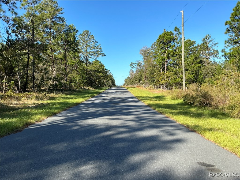 4276 W Abeline Drive, Citrus Springs, Florida image 6