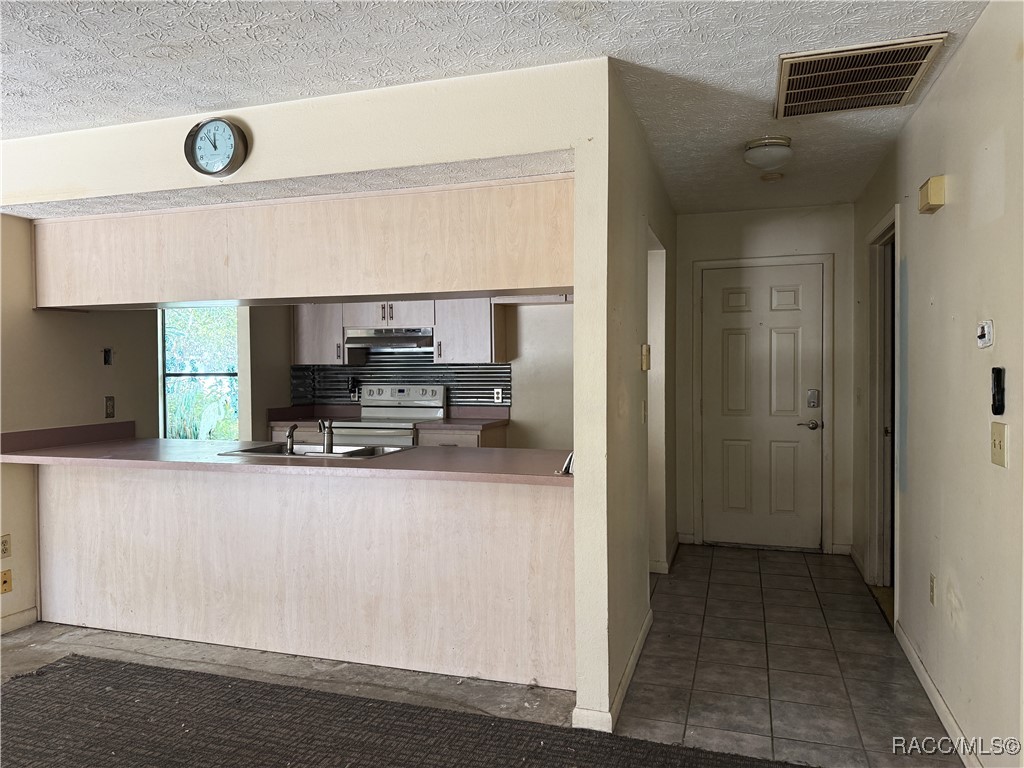4160 S Oakhurst Drive, Homosassa, New York image 8