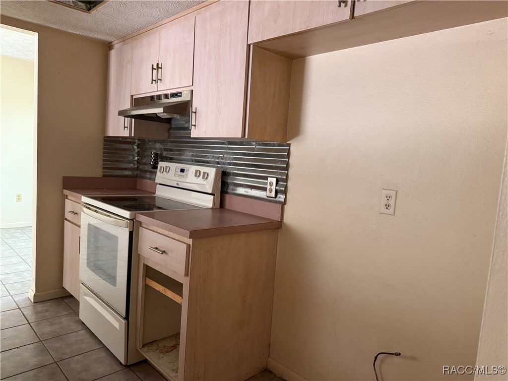 4160 S Oakhurst Drive, Homosassa, New York image 10