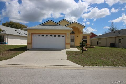 10468 S Drew Bryant Circle Floral City FL 34436