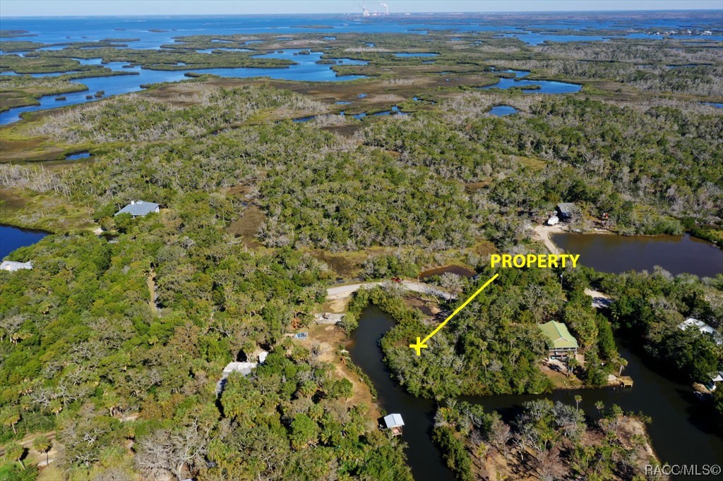 14788 W Hide A Way Drive, Crystal River, Florida image 4
