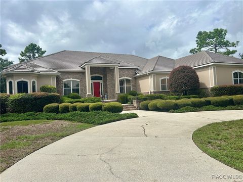 3915 N Grayhawk Loop Lecanto FL 34461