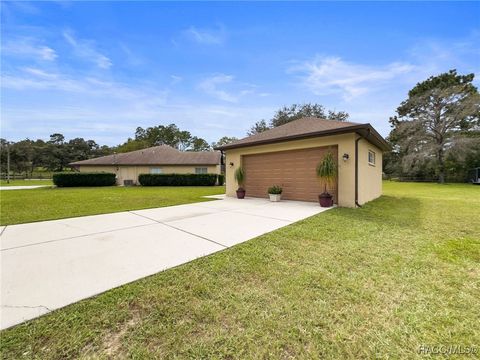 A home in Spring Hill