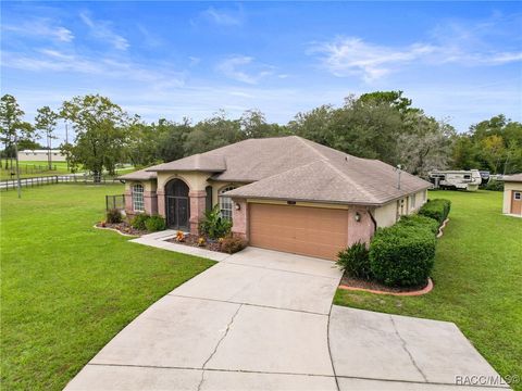 A home in Spring Hill