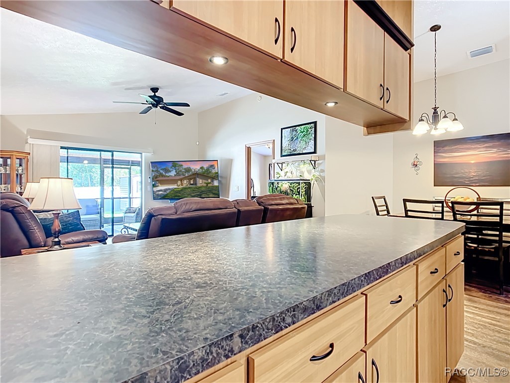 4323 S Culver Terrace, Inverness, Florida image 23