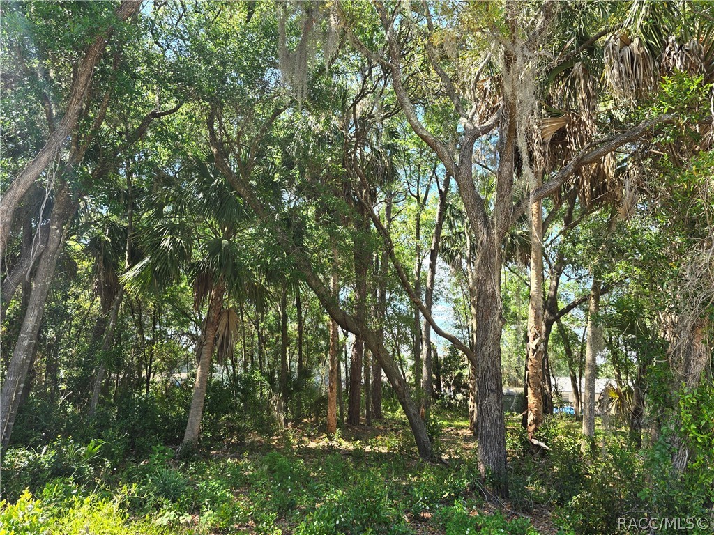 Photo 1 of 9 — 7075 W Crestview Lane, Crystal River, FL 34429