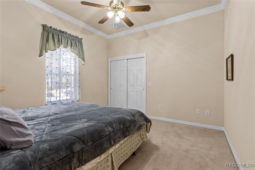 206 Daisy Street, Homosassa, Florida image 29