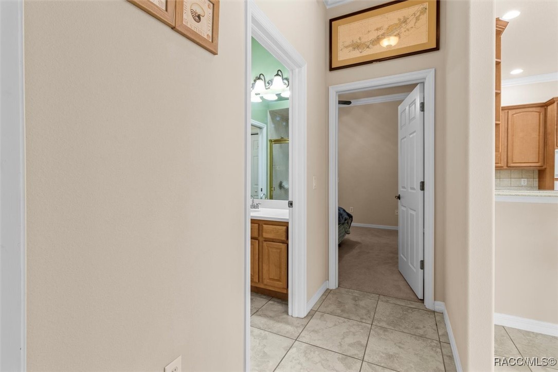 206 Daisy Street, Homosassa, Florida image 28