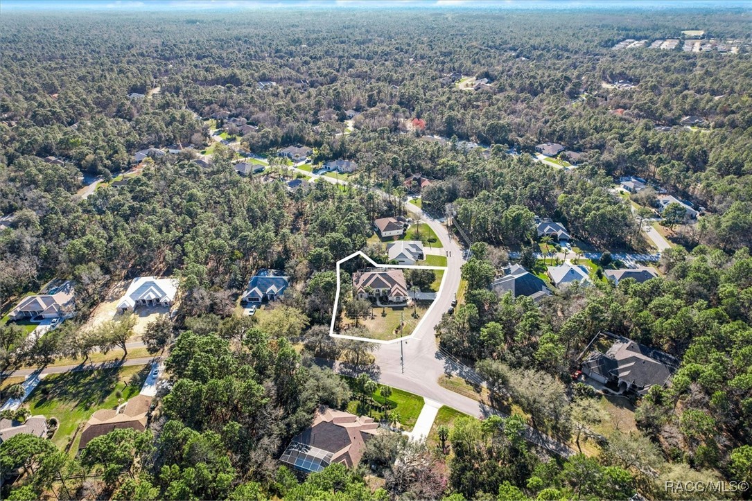206 Daisy Street, Homosassa, Florida image 3