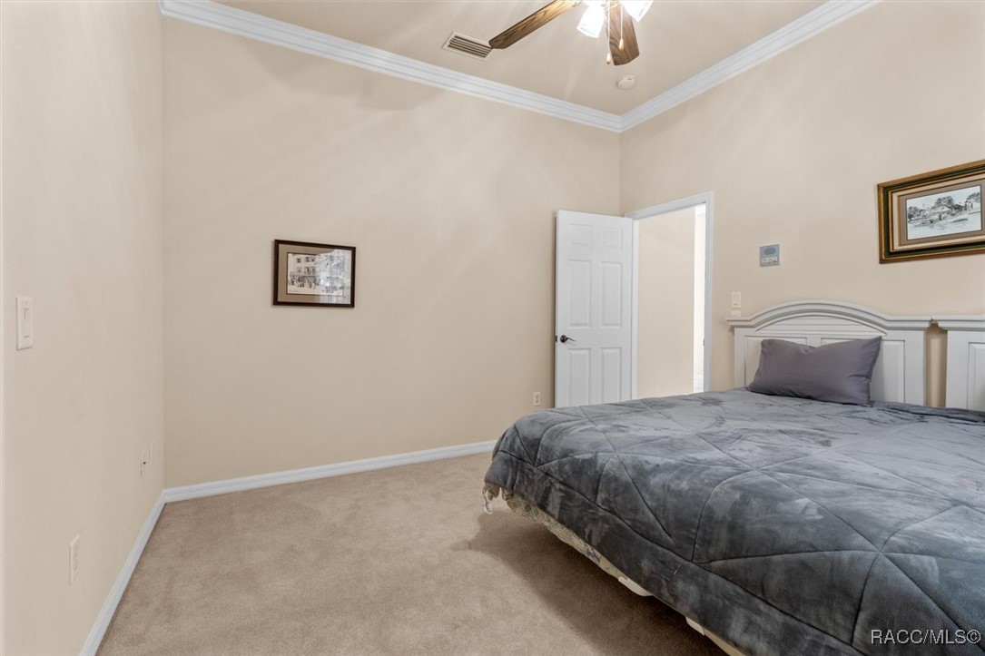 206 Daisy Street, Homosassa, Florida image 30