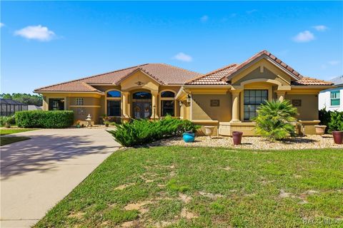 226 S Paladinn Circle Inverness FL 34453