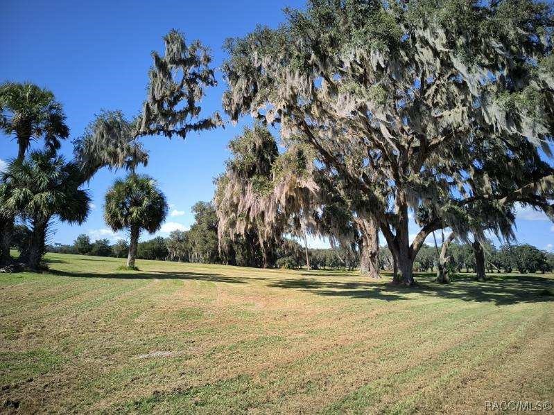 1147 N Foxrun Terrace, Inverness, Florida image 9