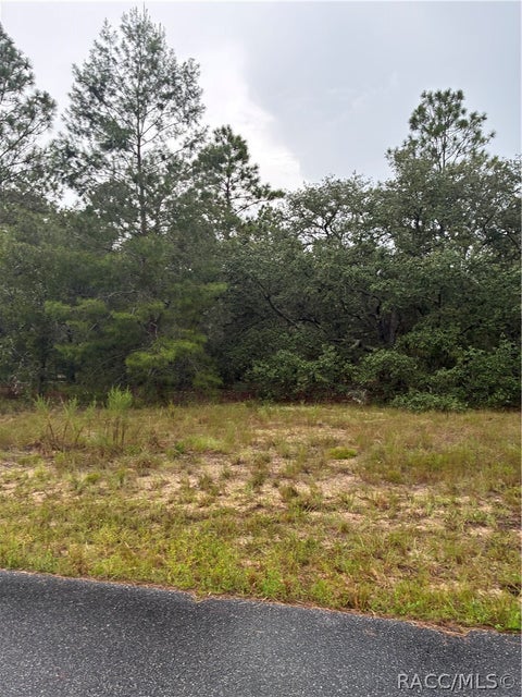 Vacant Land For Sale - 1001 W Bannister Drive<br/> Citrus County, Citrus Springs, FL 34434