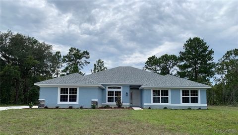 6084 N Orchis Terrace Beverly Hills FL 34465