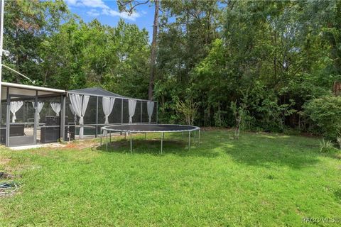 A home in Homosassa