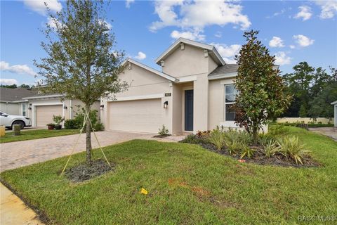 A home in Brooksville