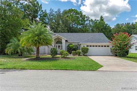 3 Douglas Court S Homosassa FL 34446